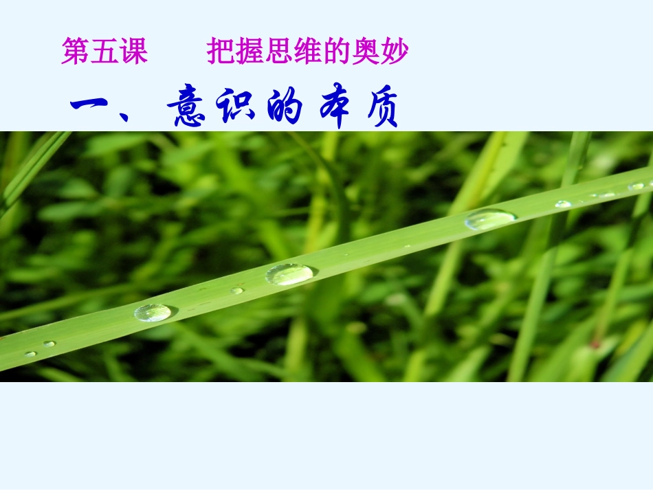 把握人的意识的奥秘-(2)_第1页