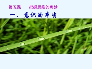 把握人的意识的奥秘-(2)