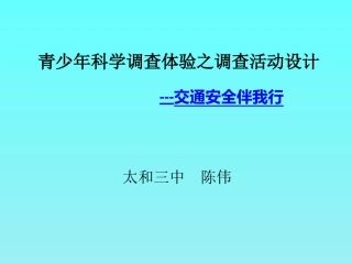 6.交通秩序我维护-(2)