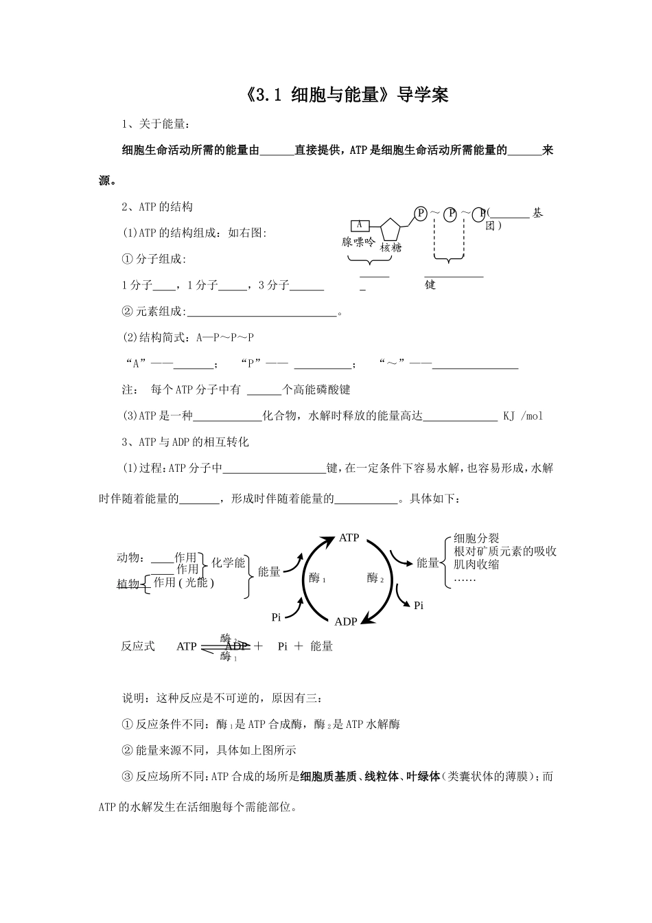 《3.1-细胞与能量》导学案3_第1页