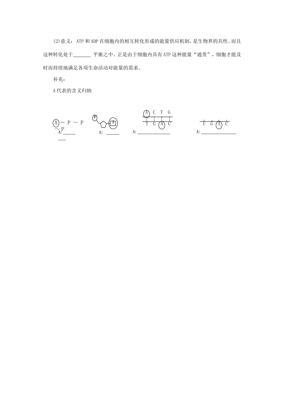 《3.1-细胞与能量》导学案3_第2页