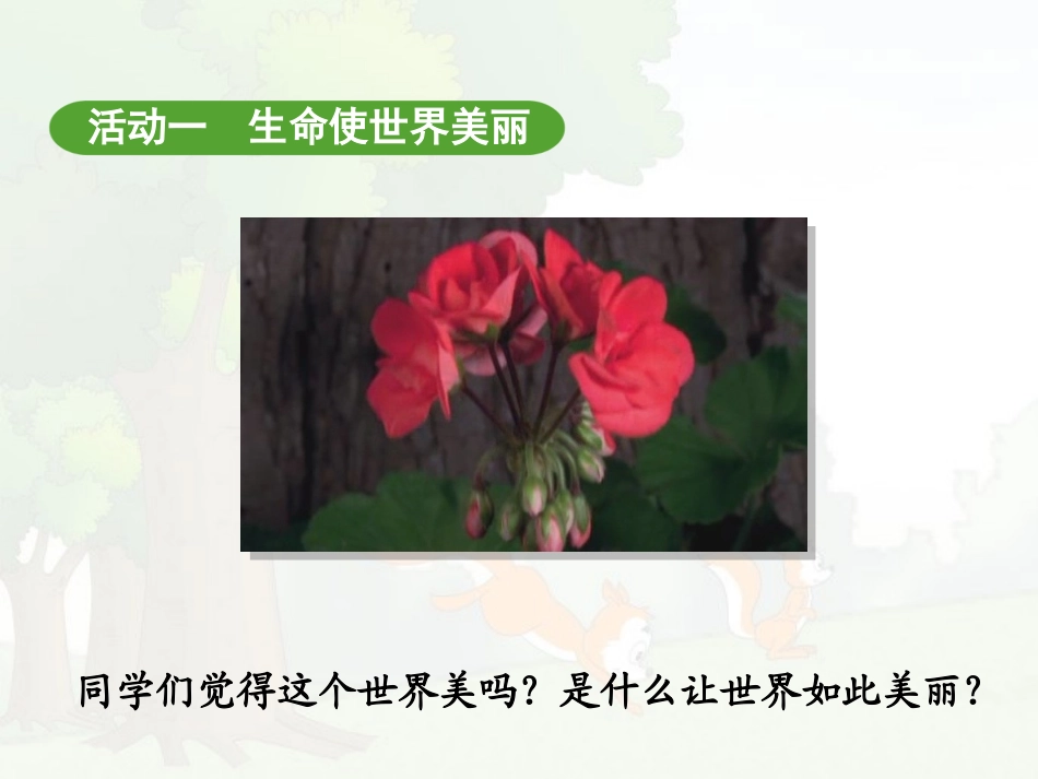 “美丽的生命”系列活动_第1页