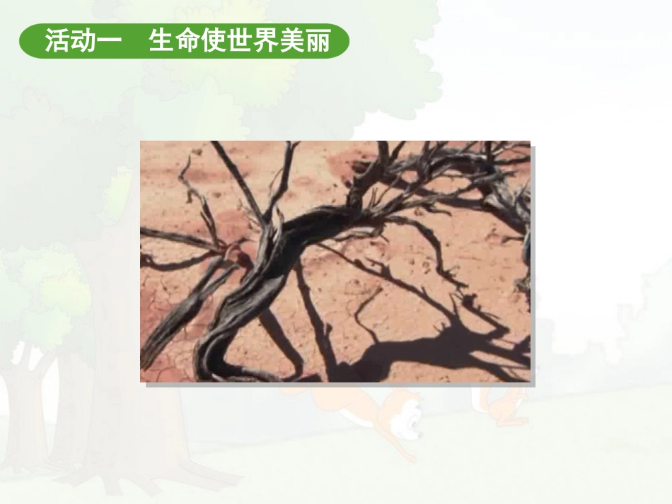 “美丽的生命”系列活动_第3页