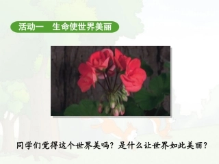 “美丽的生命”系列活动