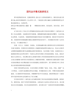 团代会开幕式致辞范文 