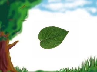 小学数学北师大2011课标版三年级周长的认识课件