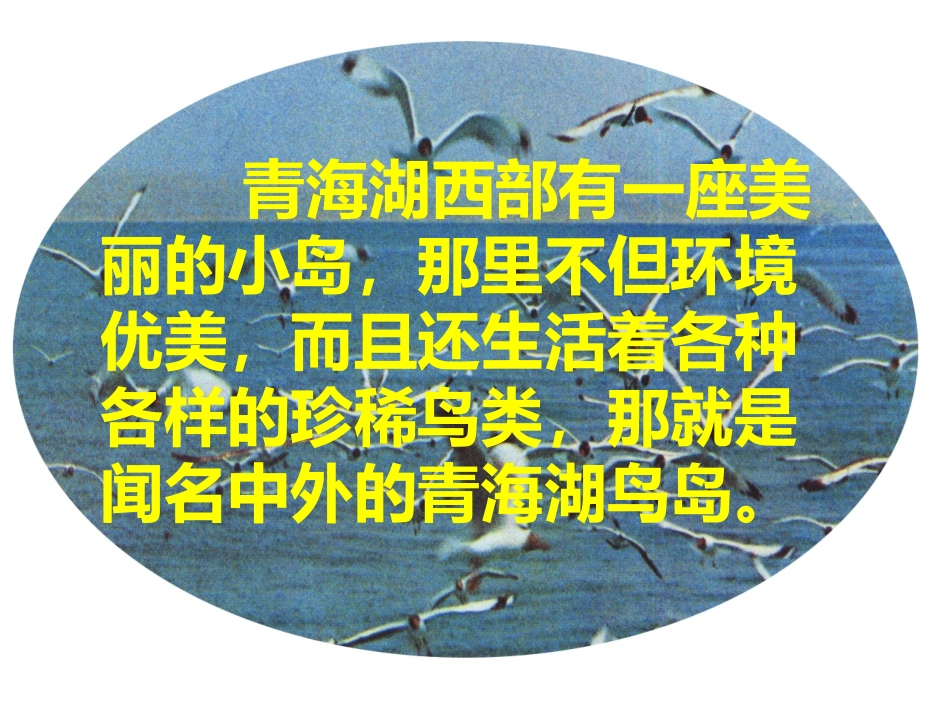 二年级下册口算两位数加两位数_第2页