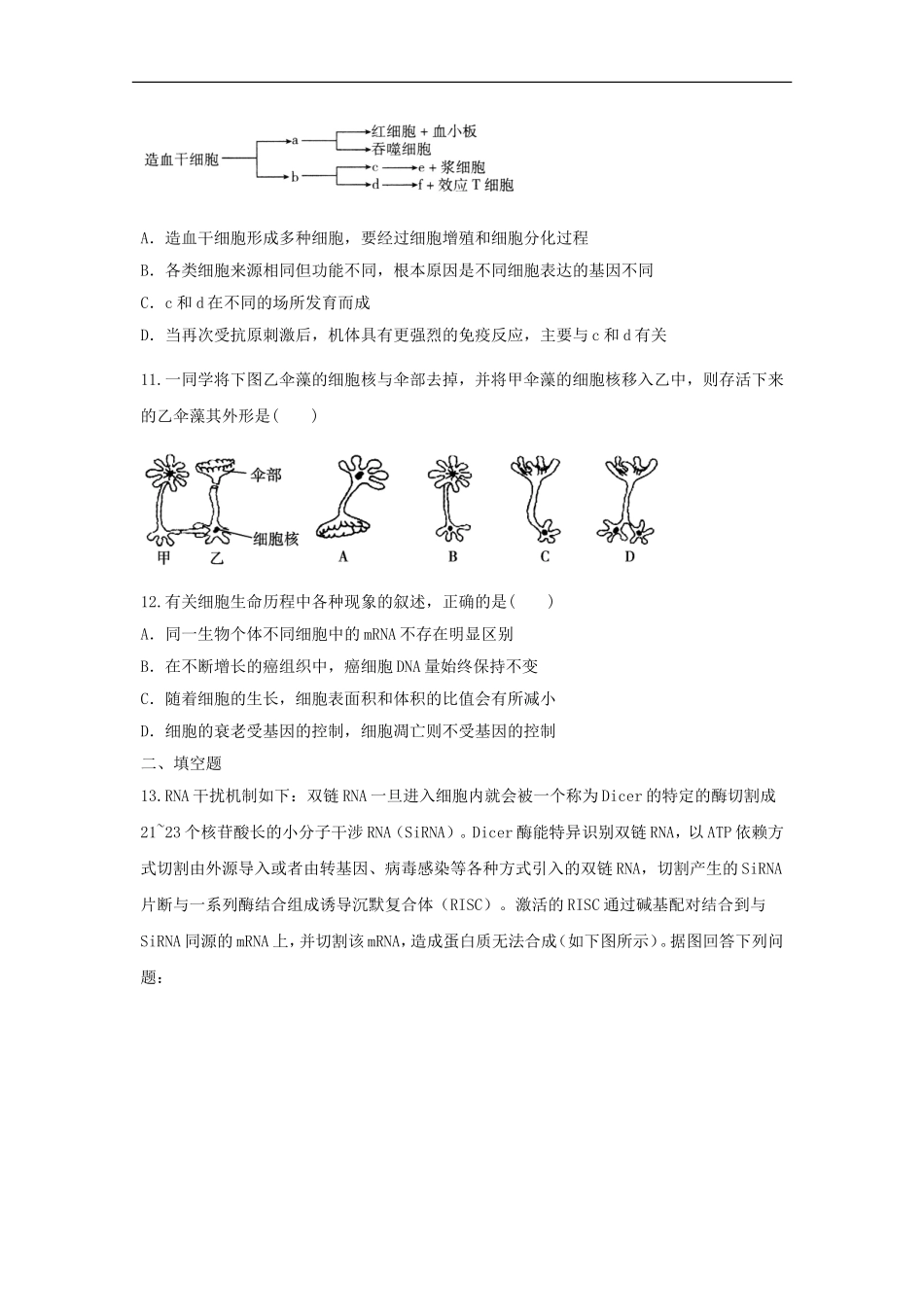 河南省漯河市二高2012届高三生物上学期期末复习题(五)_第3页