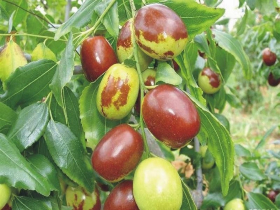 美丽的秋天1_第3页