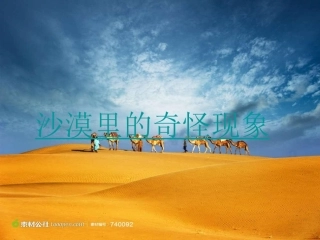 十沙漠里的奇怪现象