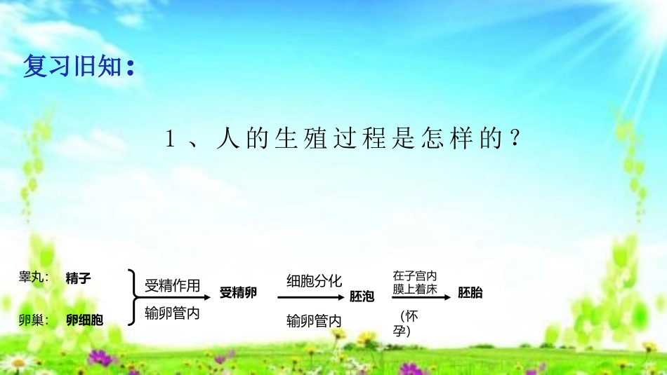 科学家的故事-“试管婴儿之父”荣获诺贝尔奖-(4)_第2页