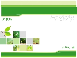 4.1圆的周长