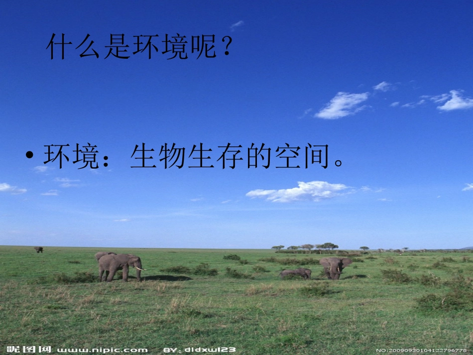 第2节生物与环境的相互影响_第2页