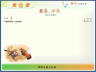 (演唱)老鸟-小鸟