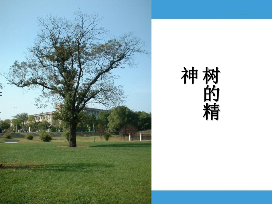 9压强复习课第13讲(三课时)张永庆_第1页