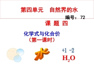 化学式的书写、意义、计算