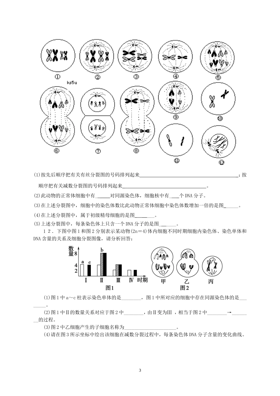 细胞的减数分裂_第3页