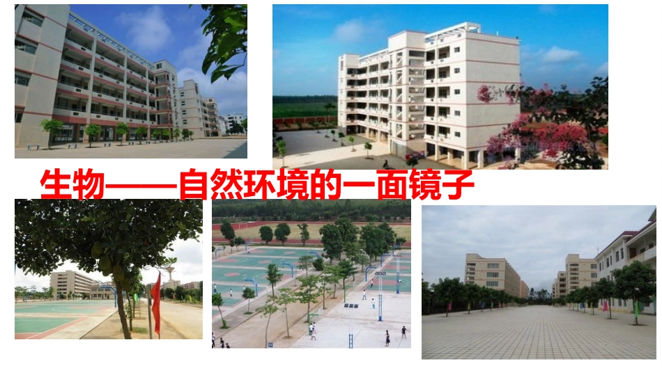专栏：非洲大陆动物迁徙_第2页