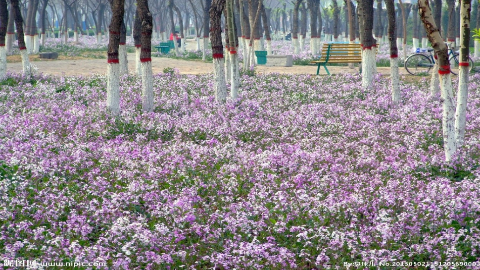 蓝色的多瑙河_第3页