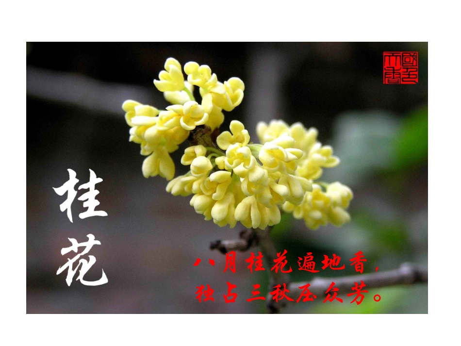 课题1原子的构成_第2页