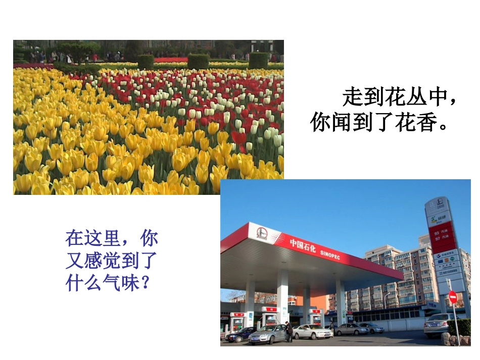 课题1原子的构成_第3页