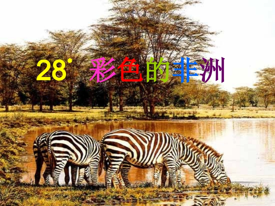 彩色的非洲课件+曾春燕_第2页