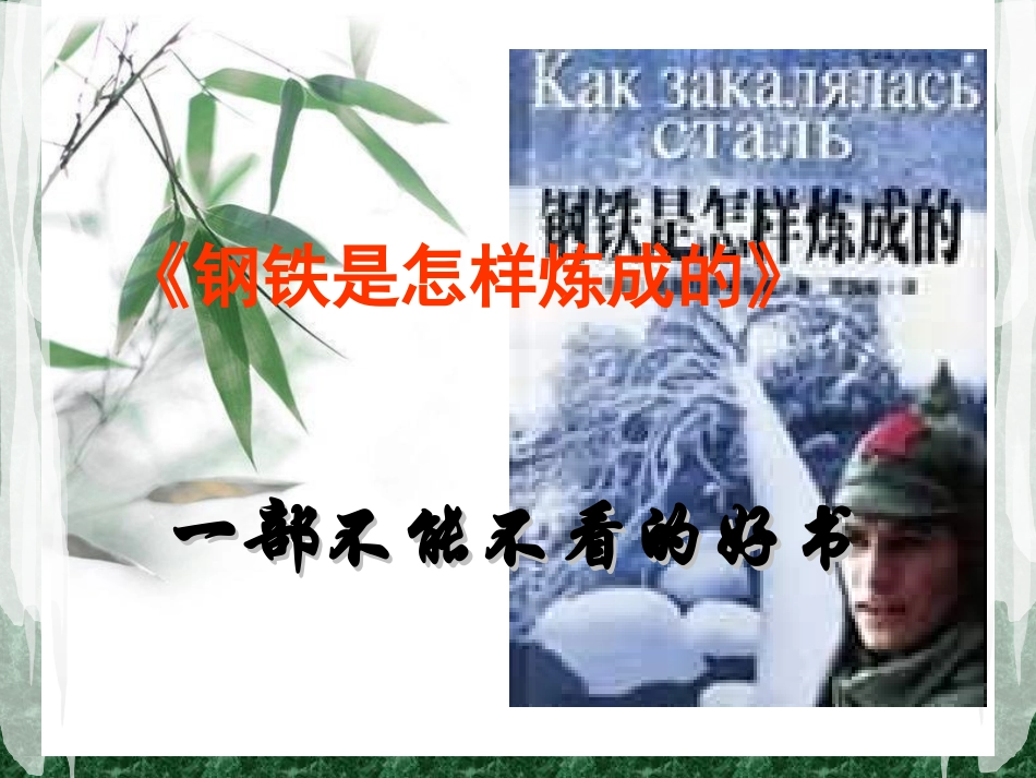 名著导读-钢铁是怎样炼成的_第1页