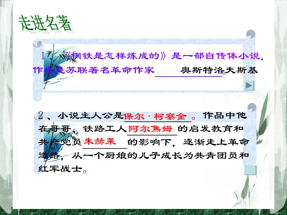 名著导读-钢铁是怎样炼成的_第2页