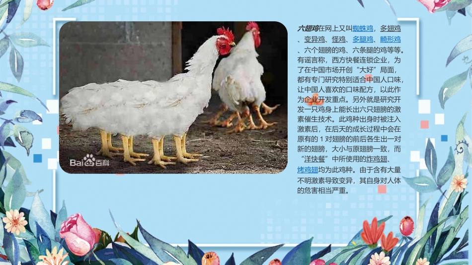 4.网络信息辨真伪-(2)_第3页