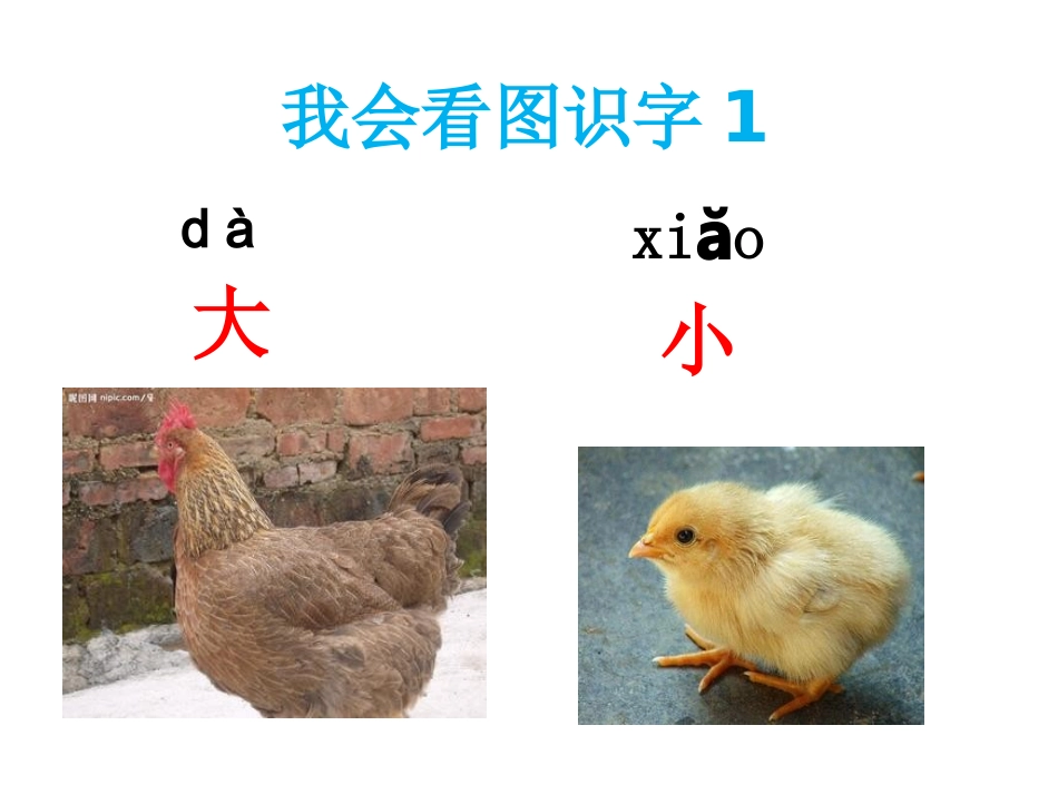 (部编)人教2011课标版一年级上册一年级语文上册《大小多少》教学课件_第1页