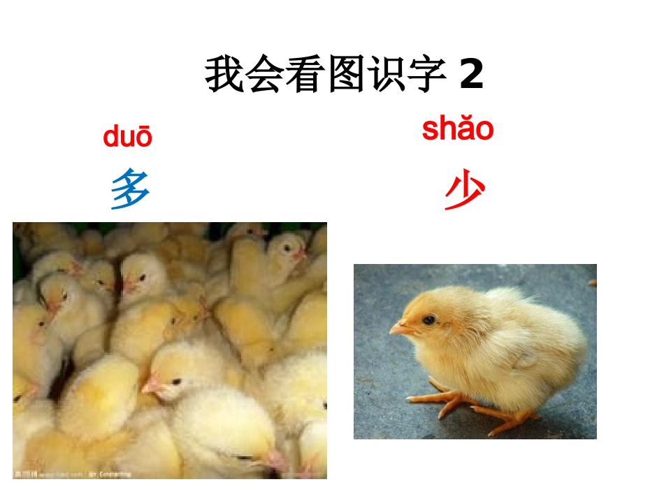 (部编)人教2011课标版一年级上册一年级语文上册《大小多少》教学课件_第2页