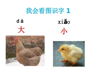 (部编)人教2011课标版一年级上册一年级语文上册《大小多少》教学课件