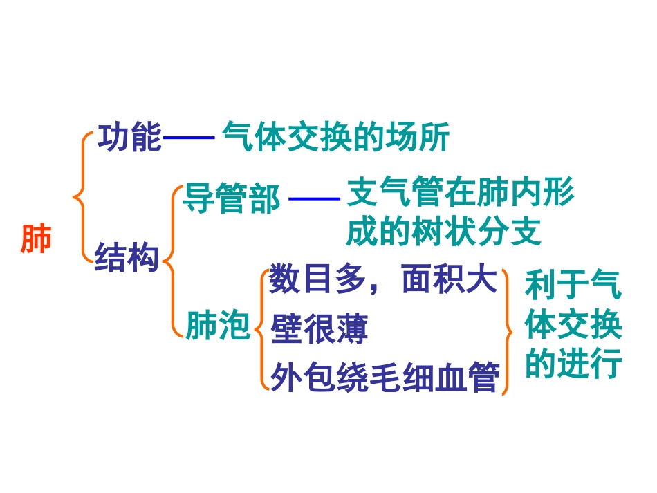 第2节人体的呼吸_第3页