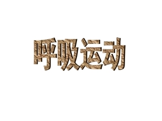 第2节人体的呼吸