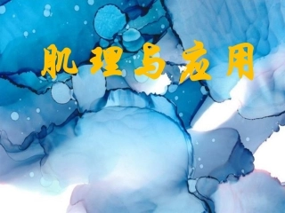 6肌理与应用