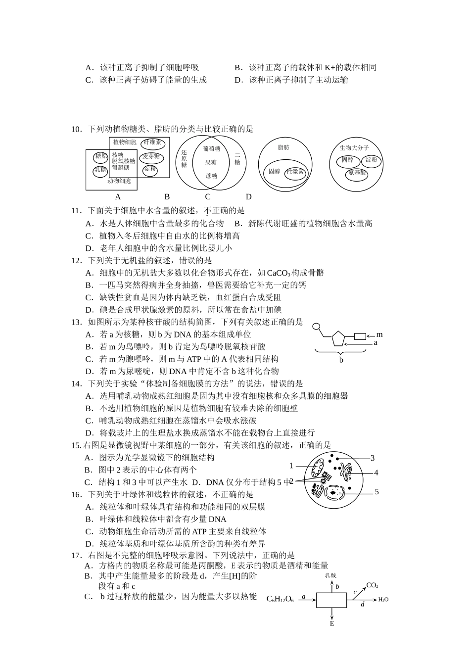 斗鸡中学高一生物12月月考试题_第2页