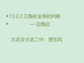 全等三角形的判定-(2)