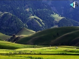 美丽的夏牧场(2)