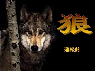 《狼》-(2)