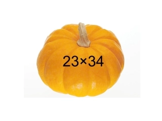 人教2011版小学数学三年级游戏