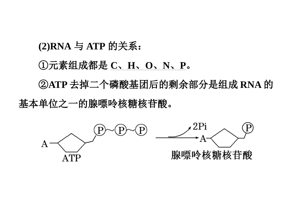 第一部分专题一第1讲细胞的物质基础_第3页