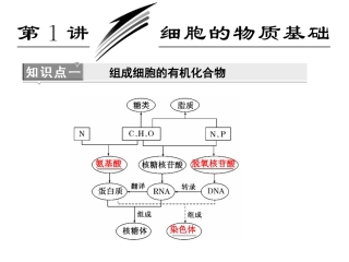 第一部分专题一第1讲细胞的物质基础