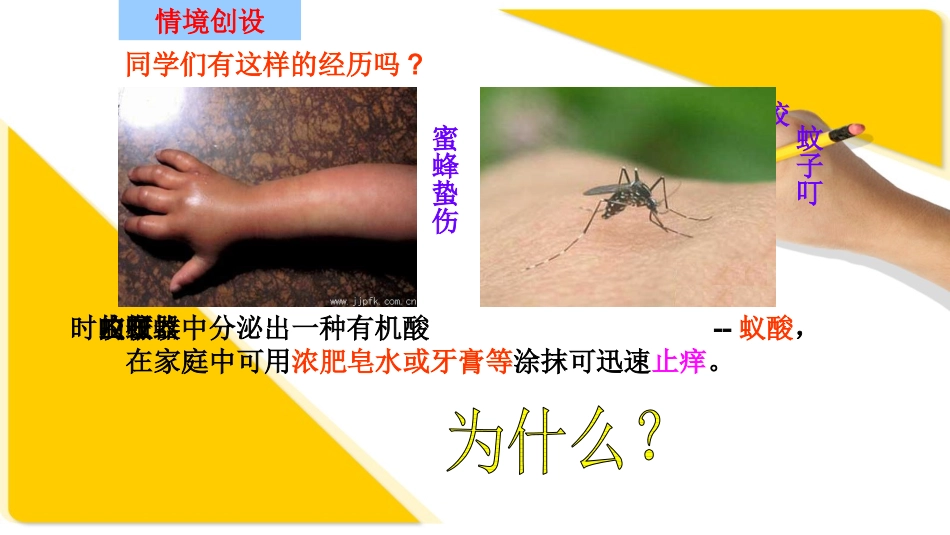 8.3酸和碱的反应_第1页