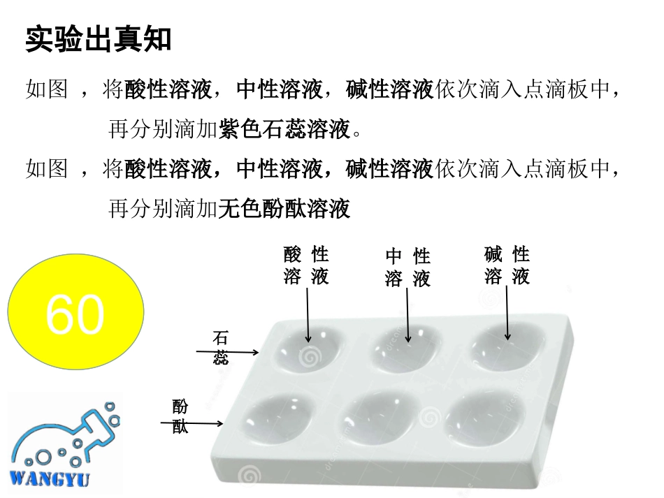 单元1酸性溶液和碱性溶液-(2)_第3页