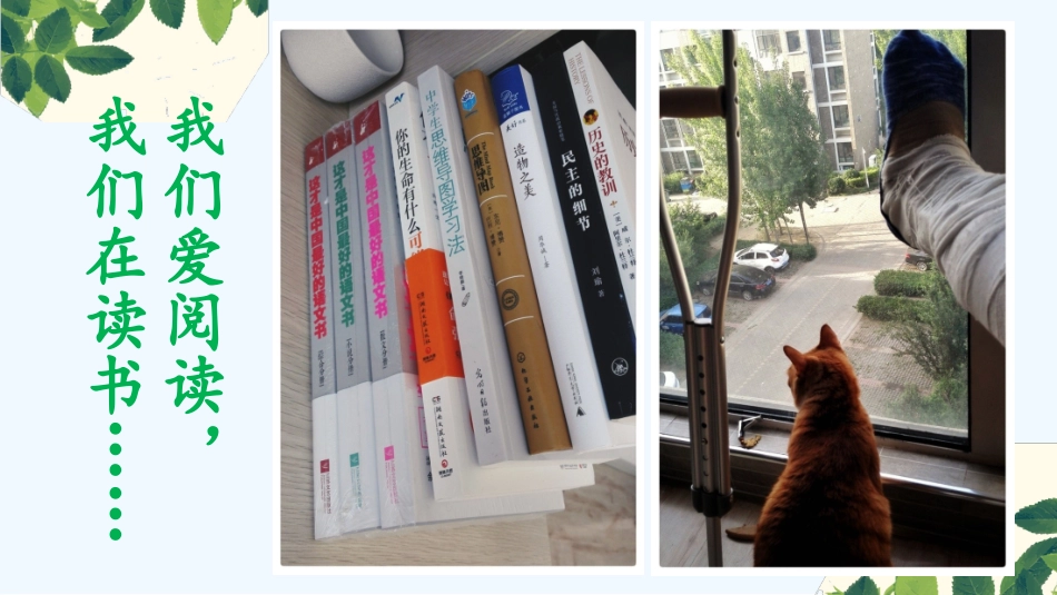 (部编)初中语文人教2011课标版七年级下册《一棵小桃树》-(5)_第2页