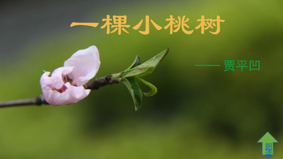 (部编)初中语文人教2011课标版七年级下册《一棵小桃树》-(5)_第3页