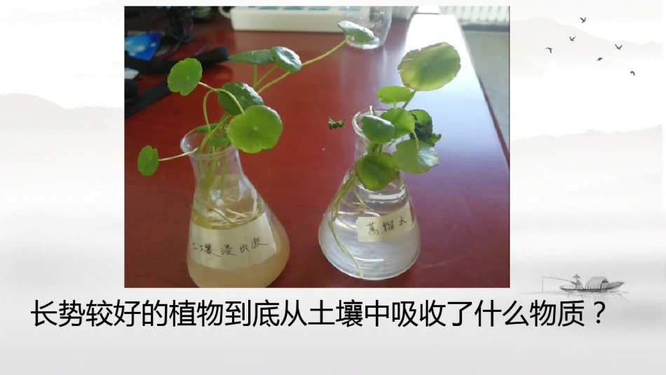 第2节绿色植物的生长需要水和无机盐_第3页