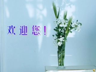 8.奇特的视觉图形