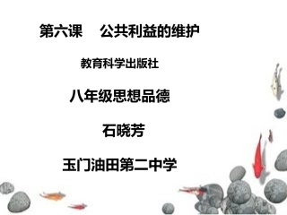 第六课公共利益的维护