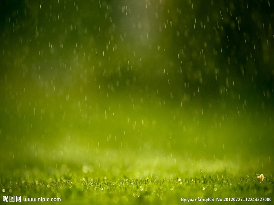 春雨的色彩课件新_第3页